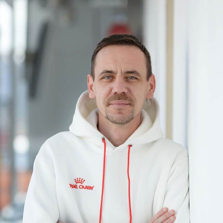 Когда можно стерилизовать кошку после родов - можно ли стерилизовать ...